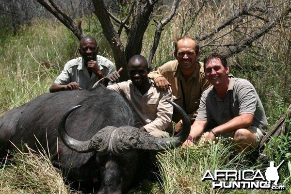 Buffalo hunted in Caprivi Namibia with Van Heerden Safaris