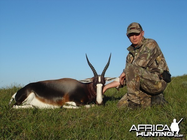 Bontebok