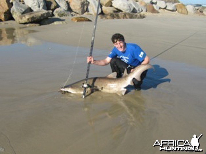 Shark fishing in and around Port Elizabeth South Africa - My Photo
