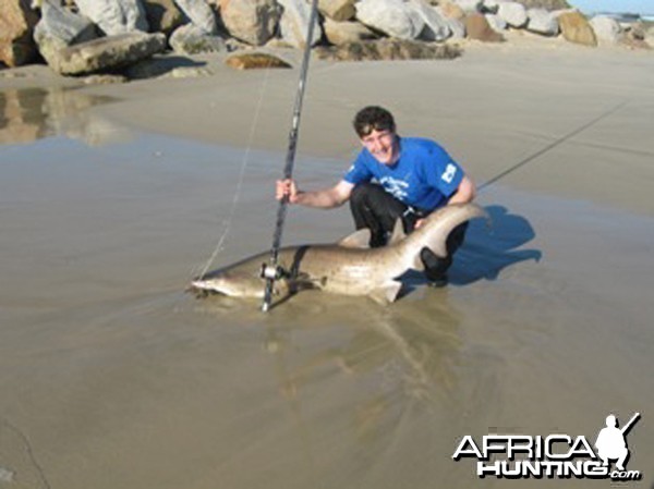 Shark fishing in and around Port Elizabeth South Africa