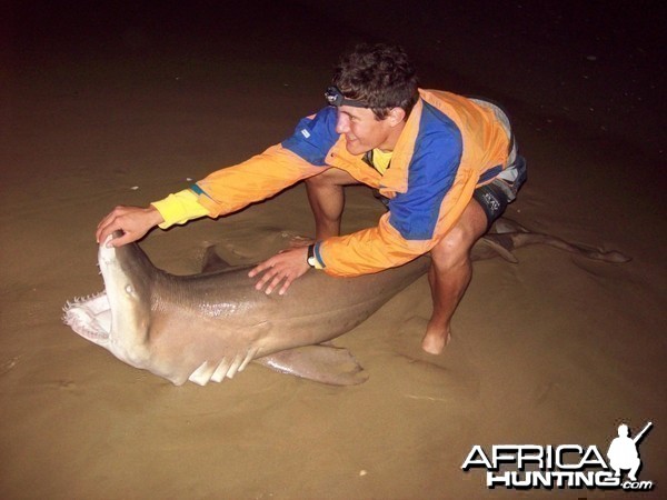 Shark fishing in and around Port Elizabeth South Africa