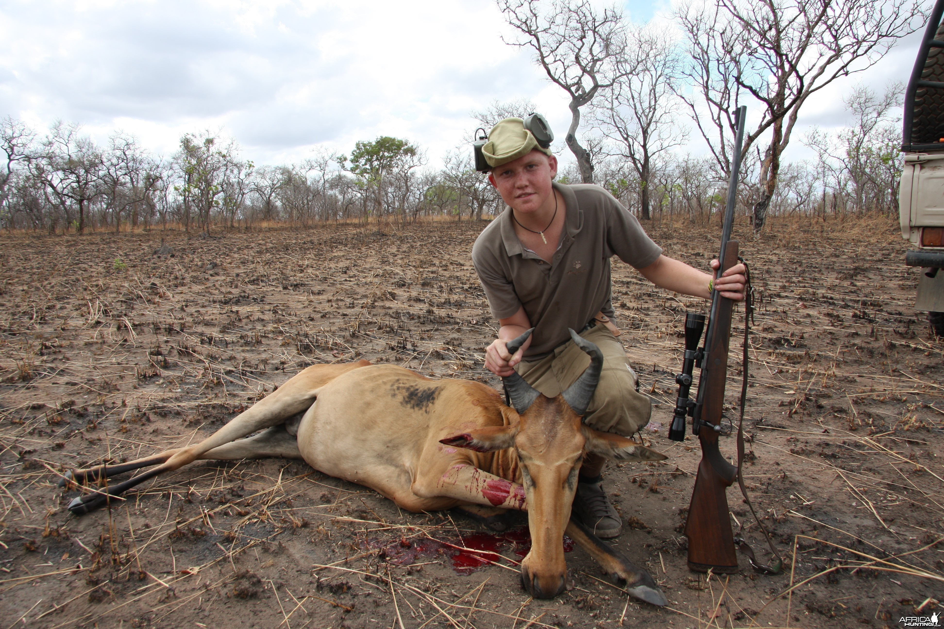 lichtensteins hartebeest
