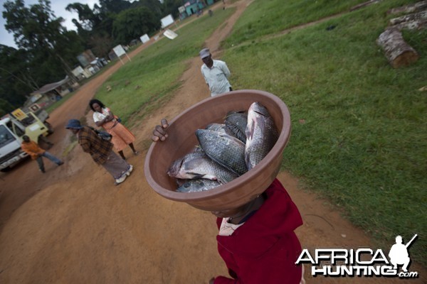 Fish on head, Uganda