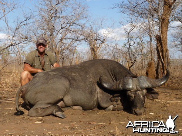 Cape Buffalo hunt Tanzania