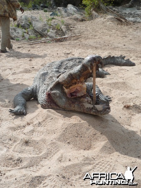 Crocodile hunting in Tanzania