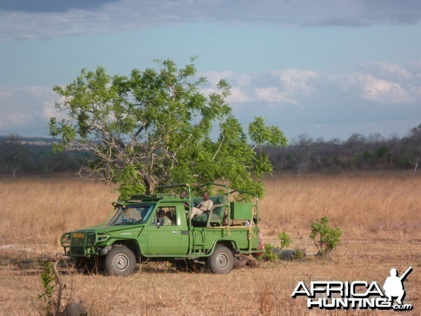 Baiting for dangerous game hunting in Tanzania