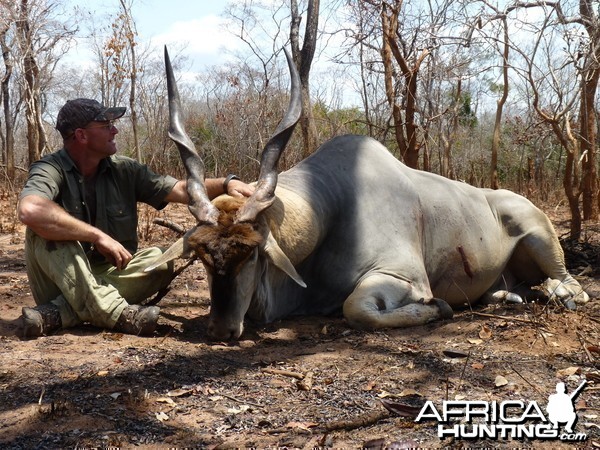 East African Eland hunted in Tanzania