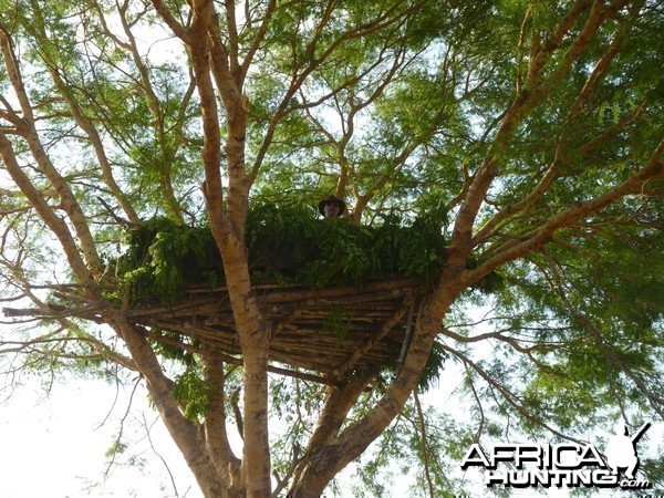 Hunting Hide Tanzania