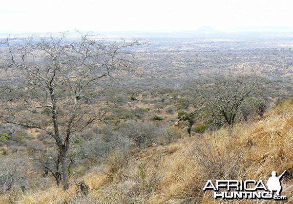 Hunting in Tanzania