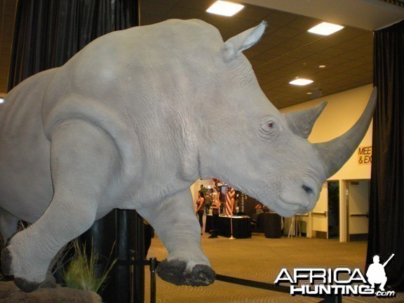 Taxidermy Rhino