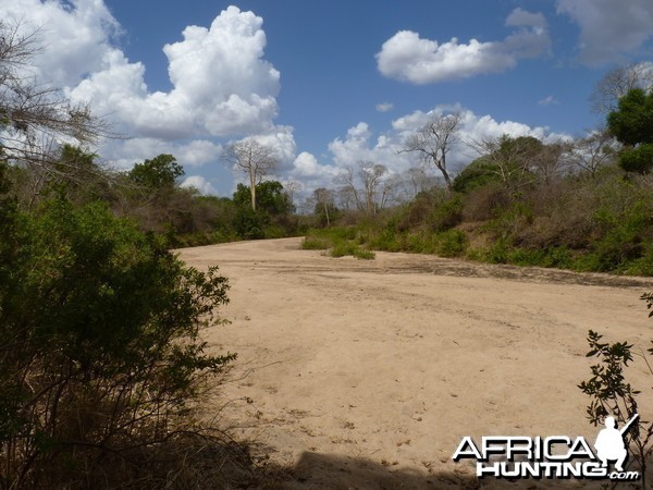 Hunting in Tanzania