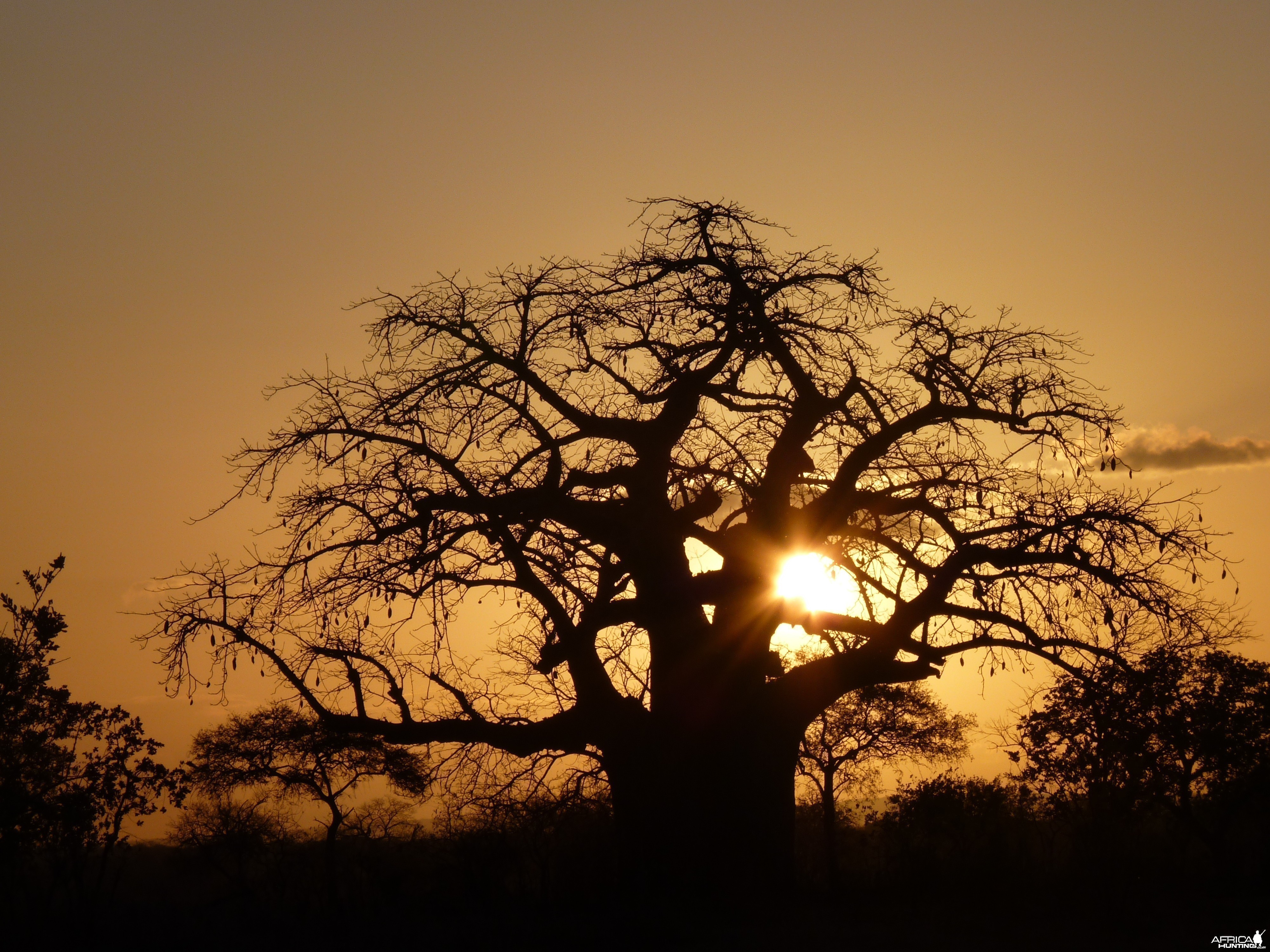 Tanzania sunset