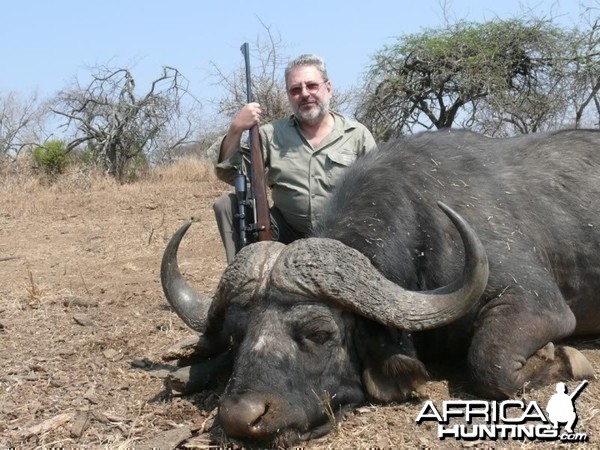 41&quot; Buffalo hunted in MKuze Falls PGR, Kwazulu Natal, RSA