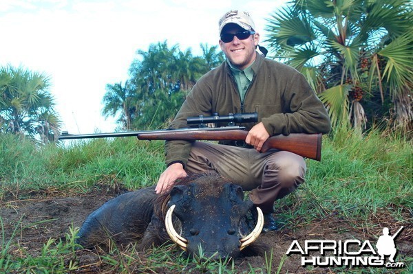 Warthog Taken in Coutada 11, Mozambique, June 2010