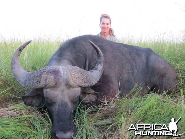 Hunting Nile Buffalo Uganda