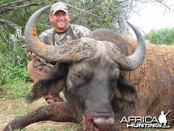 Bowhunting Nile Buffalo Uganda