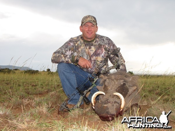 Bowhunting Warthog in Uganda