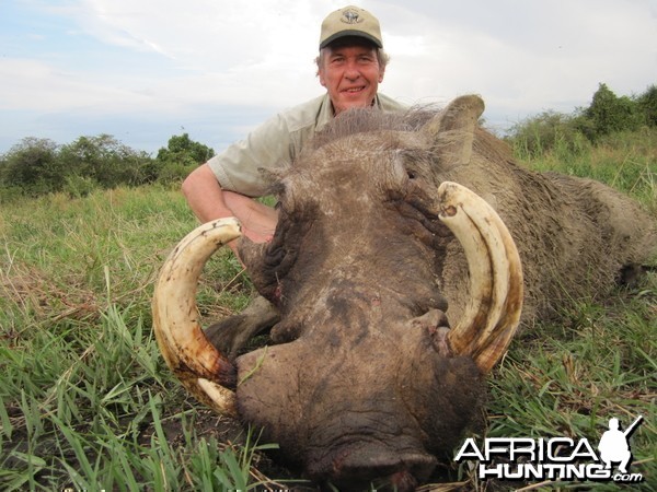 Hunting Warthog in Uganda
