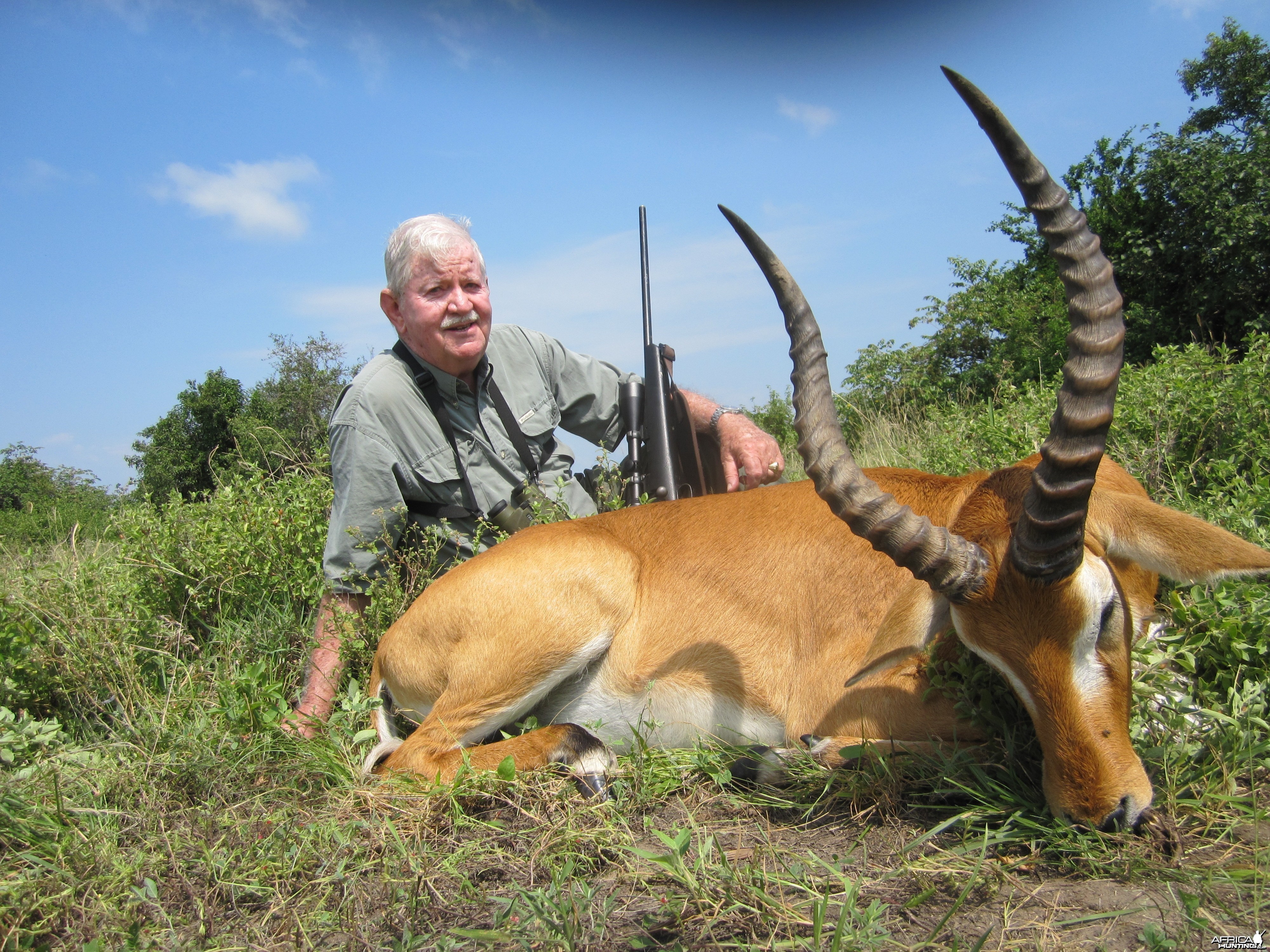 Hunting Uganda Kob