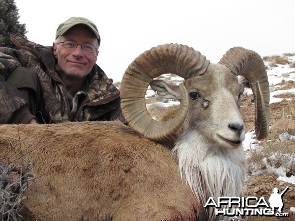Hunting Urial in Iran