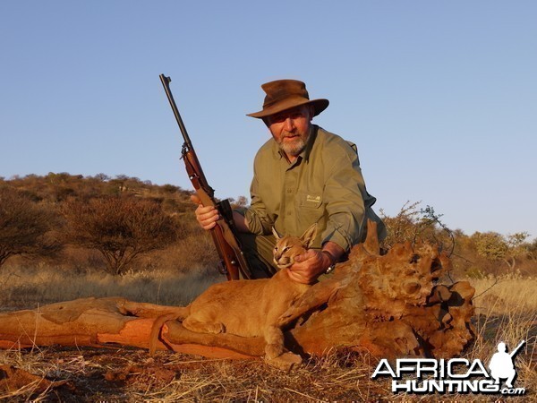 Hunting Caracal in Namibia