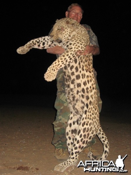 Hunting Leopard in Namibia