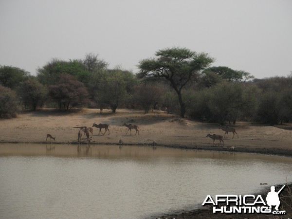 Hunting in Namibia