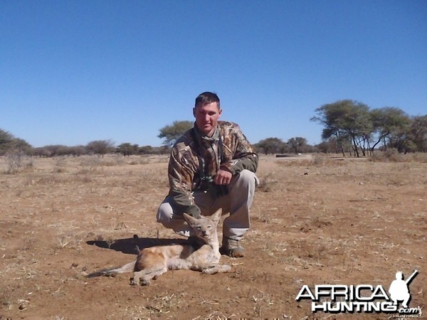 Hunting Black-backed in Namibia