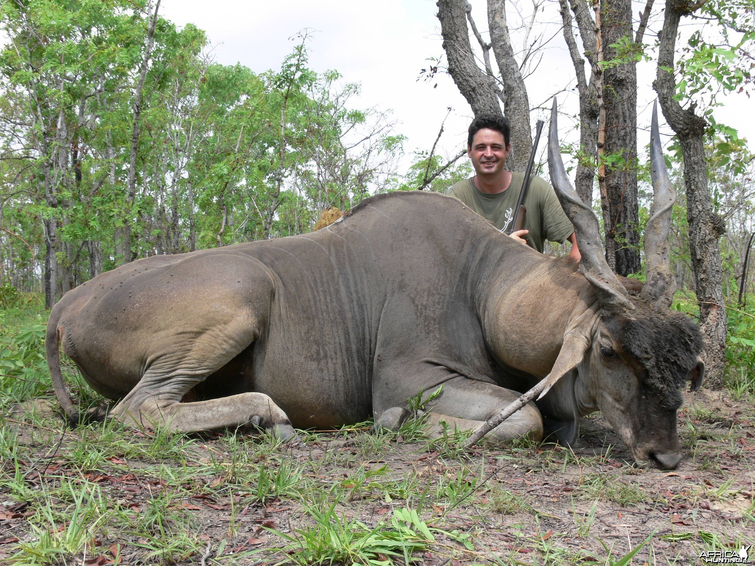 Eland