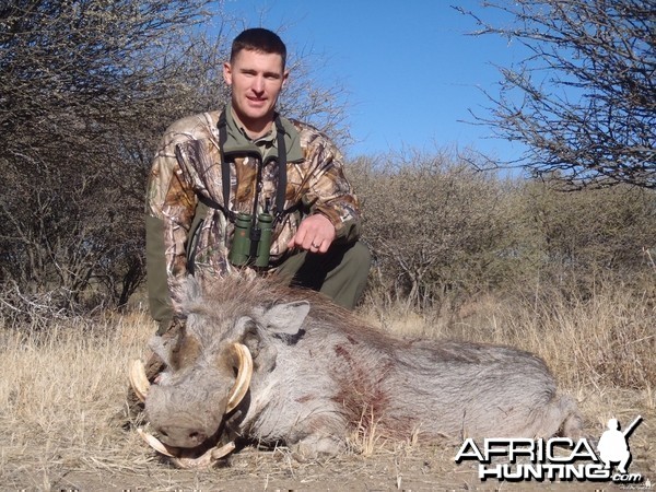 Hunting Warthog in Namibia