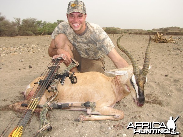 Bowhunting Soemmerring Gazelle in Ethiopia