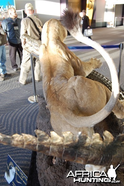 Taxidermy at Safari Club International Convention