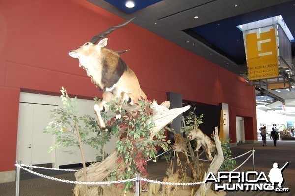 Taxidermy at Safari Club International Convention