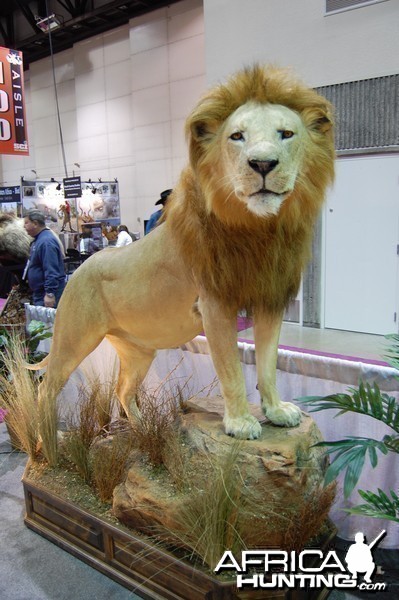 Taxidermy at Safari Club International Convention