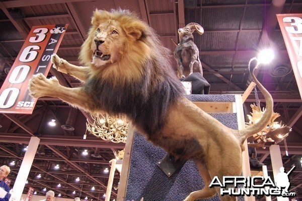 Taxidermy at Safari Club International Convention