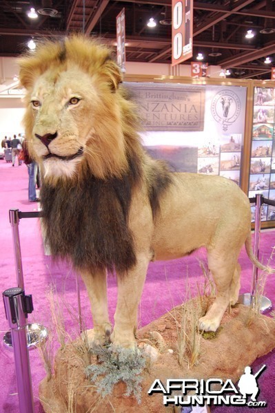 Taxidermy at Safari Club International Convention