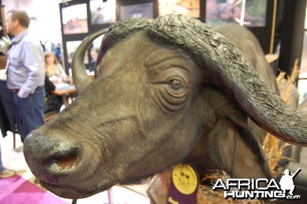 Taxidermy at Safari Club International Convention