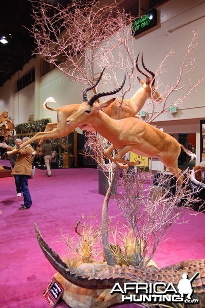 Taxidermy at Safari Club International Convention