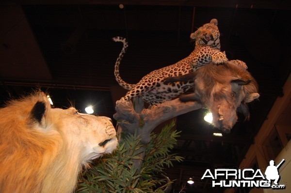 Taxidermy at Safari Club International Convention