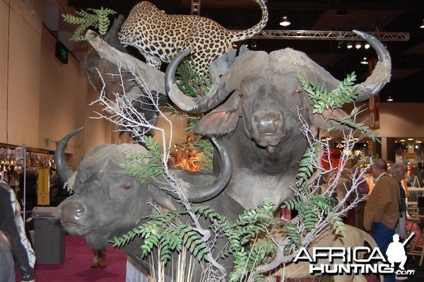 Taxidermy at Safari Club International Convention