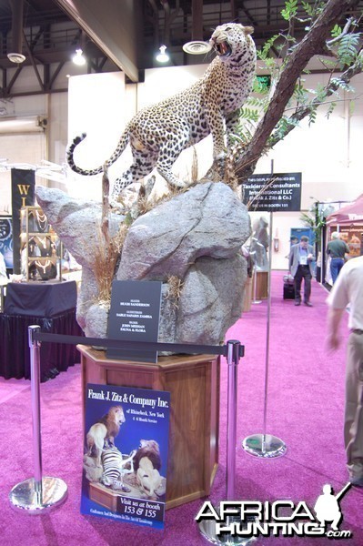 Taxidermy at Safari Club International Convention