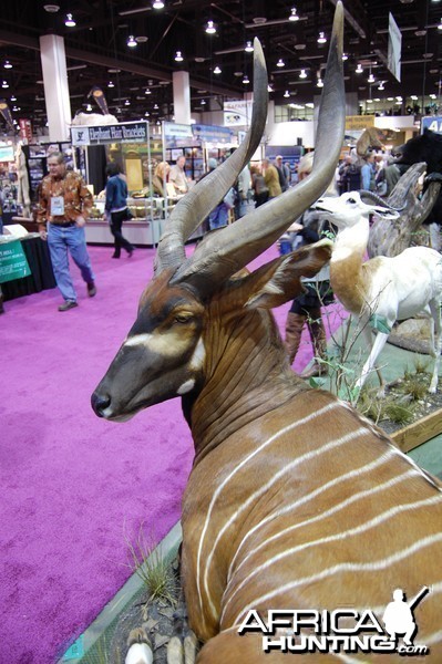 Taxidermy at Safari Club International Convention