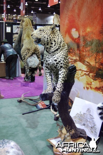 Taxidermy at Safari Club International Convention