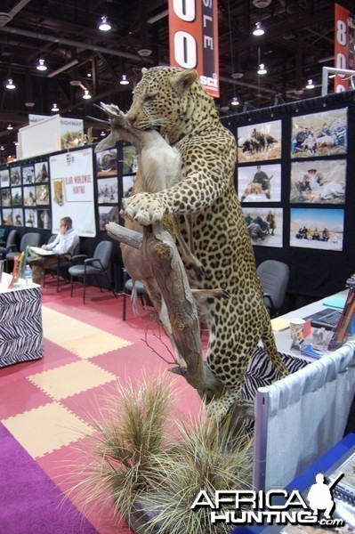 Taxidermy at Safari Club International Convention