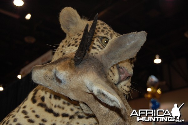 Taxidermy at Safari Club International Convention