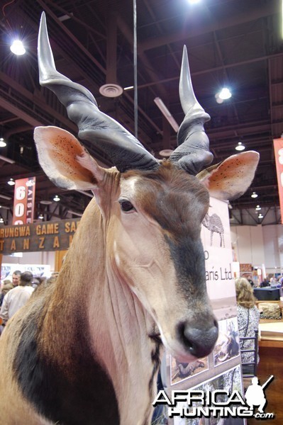 Taxidermy at Safari Club International Convention