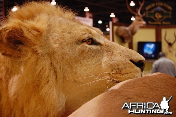 Taxidermy at Safari Club International Convention