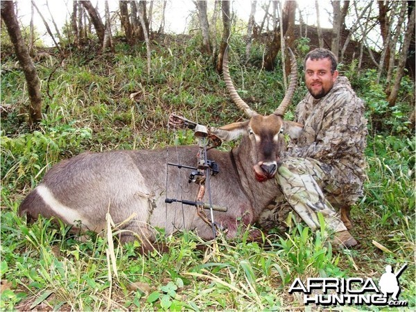 Management Waterbuck hunted with a bow