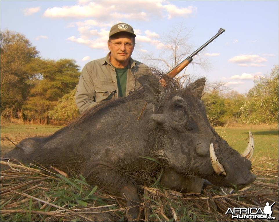 Nice Warthog from Mozambique