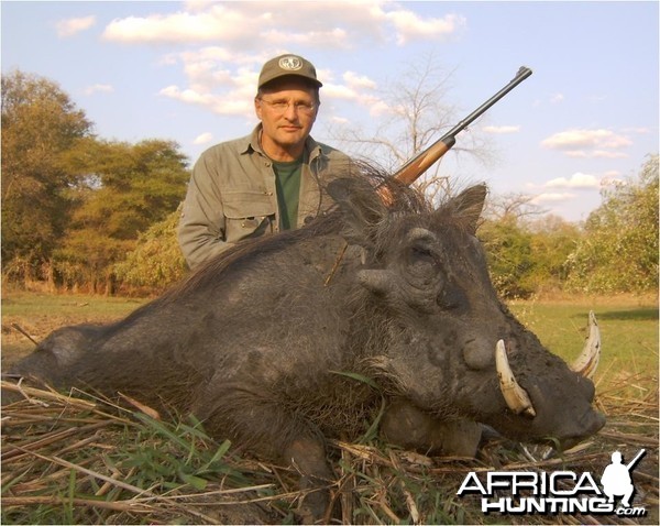 Nice Warthog from Mozambique